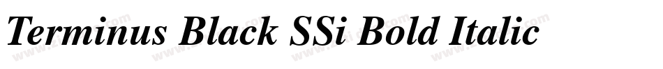 Terminus Black SSi Bold Italic字体转换